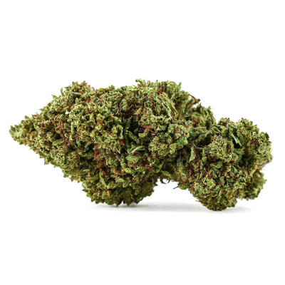 Gorilla Glue CBX 🦍