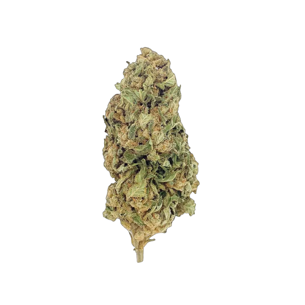 Lemon 10-OH-HHC 🍋 – 1