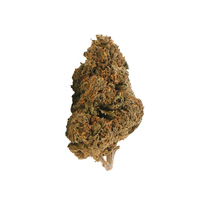 🎁 Jack Herer 🌿 | 20% THCX 2.0 (100% off)