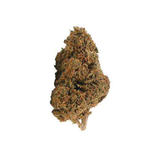 🎁 Jack Herer 🌿 | 20% THCX 2.0 (100% off)