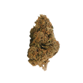 Jack Herer THCX 2.0 🌿