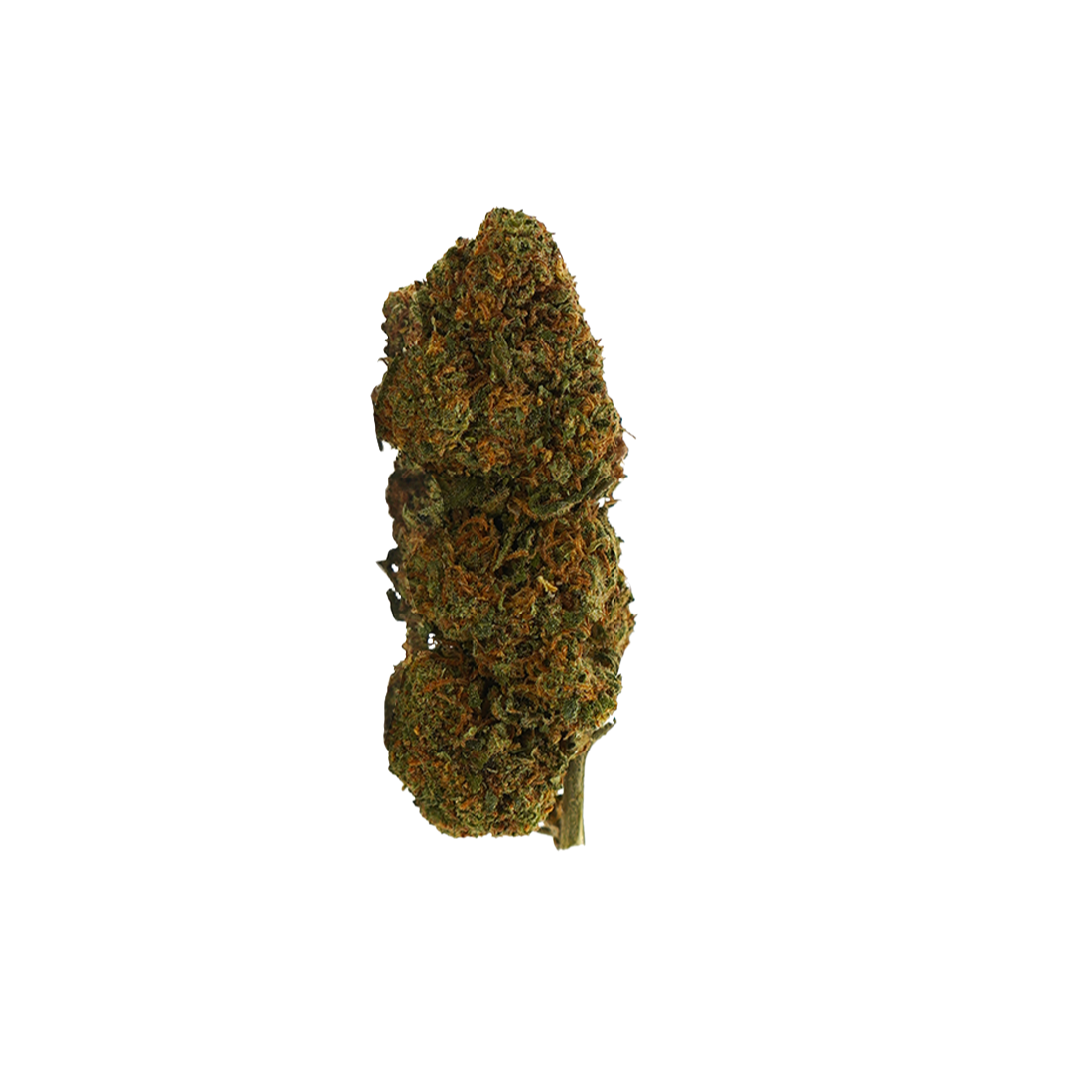 🎁 Prime Kush 👑 TH-X (100% off) – 1