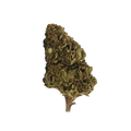 White Widow 10-OH-HHC 🕸️