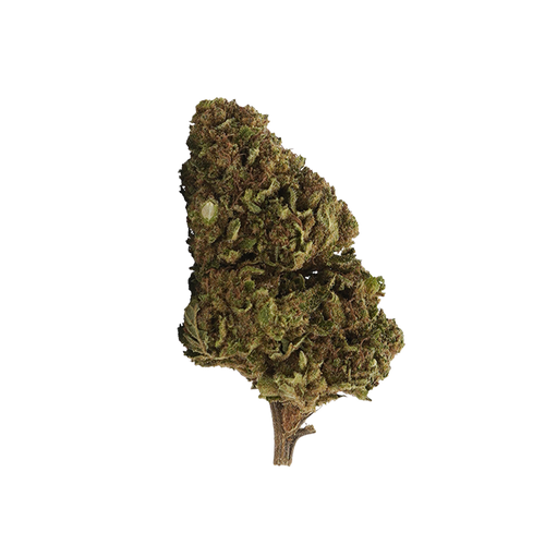 White Widow 10-OH-HHC 🕸️