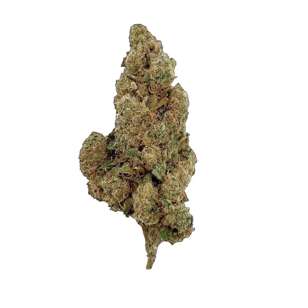 Amnesia 10-OH-HHC 🧠 – 1