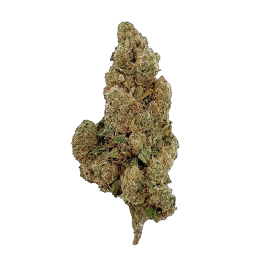 Amnesia 10-OH-HHC 🧠
