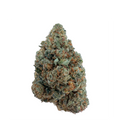 🎁 Super Amnesia 🧠  - THC+ (100% off)