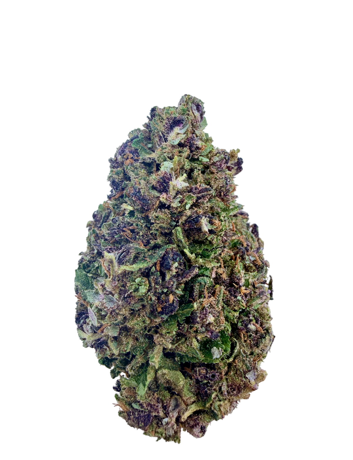 Purple Haze THC+ 😈 – 1