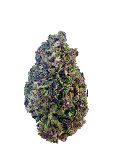 Purple Haze THC+ 😈