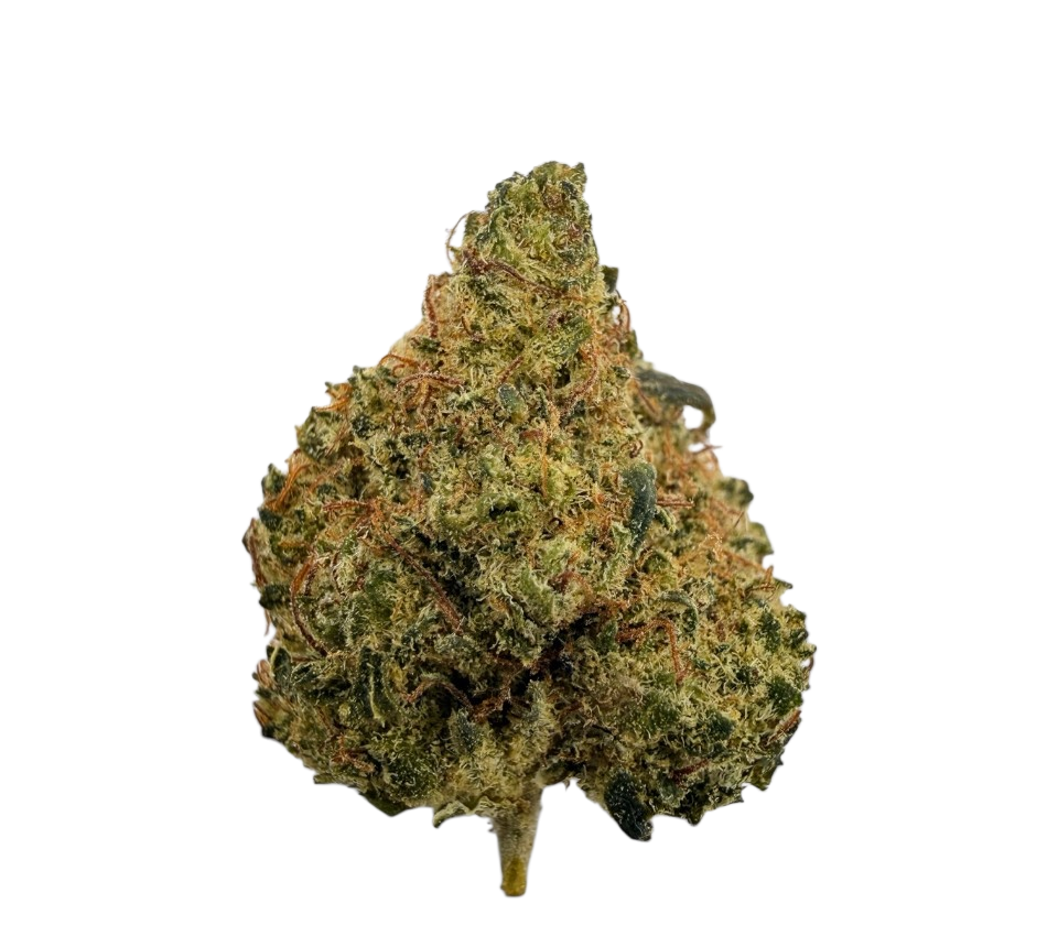 🎁 Small Buds 💥 - THC+ (100% off) – 1