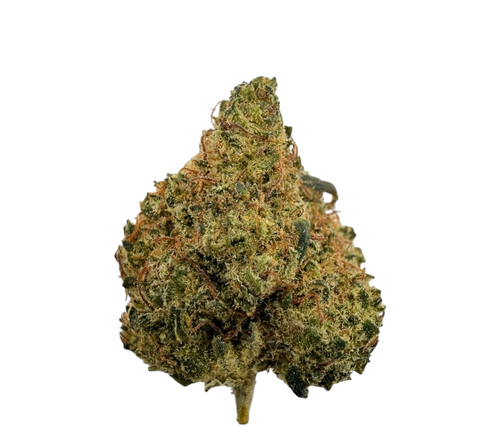 🎁 Small Buds 💥 - THC+ (100% off)