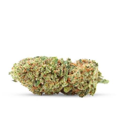 Cali GMO Cookies THCX 2.0 🍪 – 1
