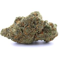 Amnesia CBX 🧠 – 1