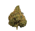 Small Buds THC+ 💥