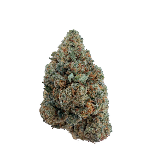 Super Amnesia THC+ 🧠